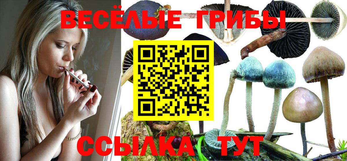 Псилоцибиновые грибы MAGIC MUSHROOMS Славгород