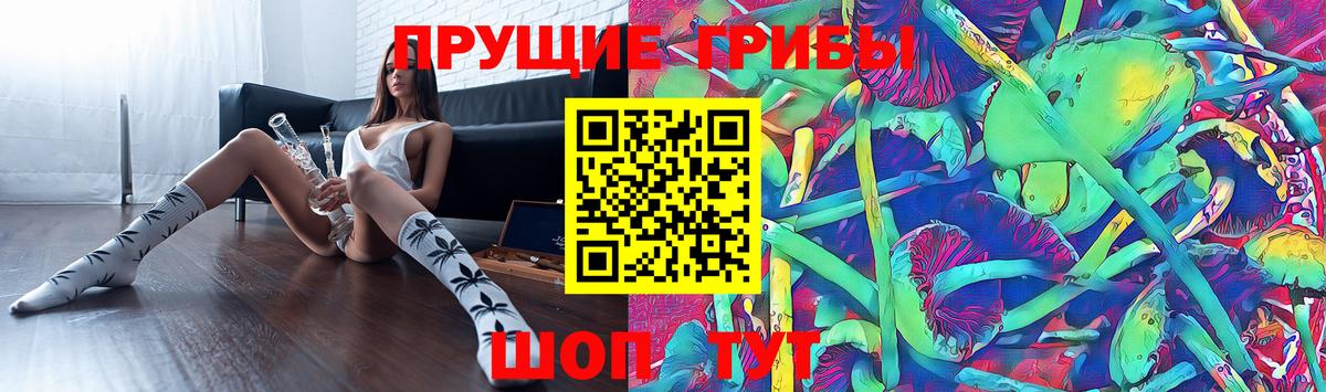 Славгород  Псилоцибиновые грибы Psilocybine cubensis  Галлюциногенные грибы Psilocybine cubensis  где продают наркотики  Вход с VPN 